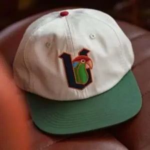 V-Crowns 2 Tone SnapBack