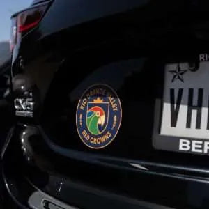 Bumper Magnet